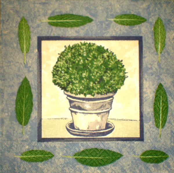 087 Garden - 3-ply (gray)
